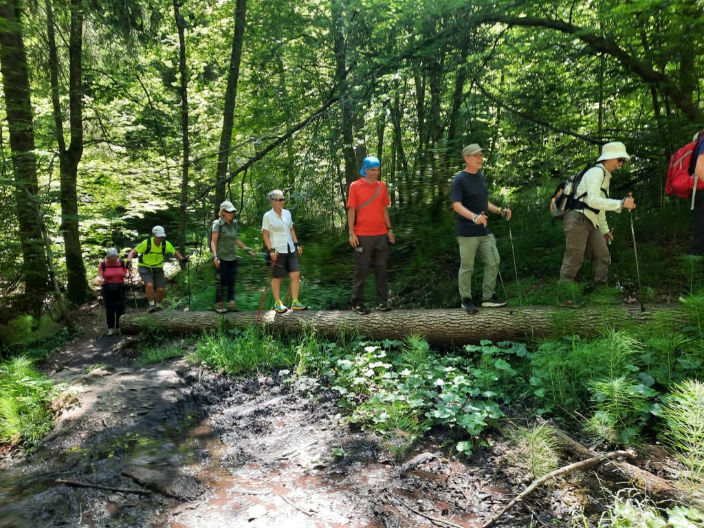 Nordic-Walking-Tour auf der Ilkahöhe